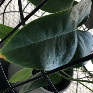 Meet your Posher, Maria fernanda